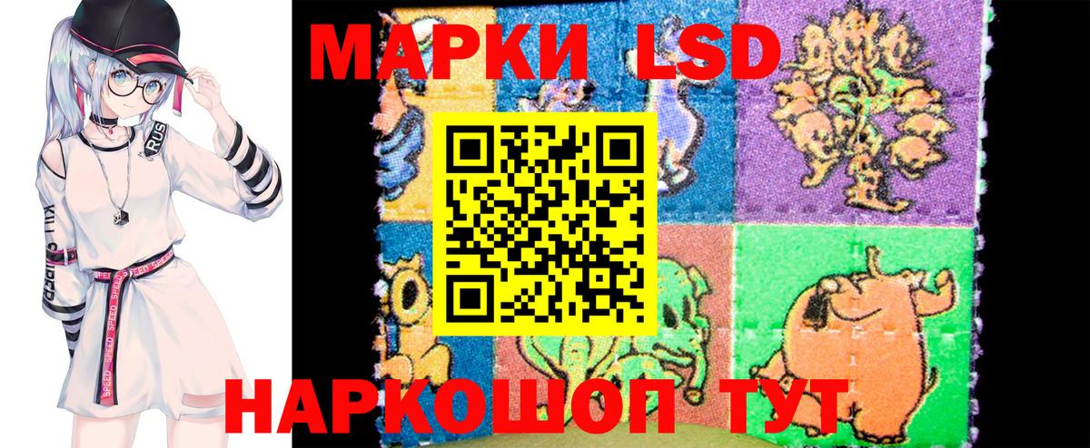 дарнет шоп  Марки 25I-NBOMe 1500мкг  Вход с VPN  Ногинск  Марки NBOMe 