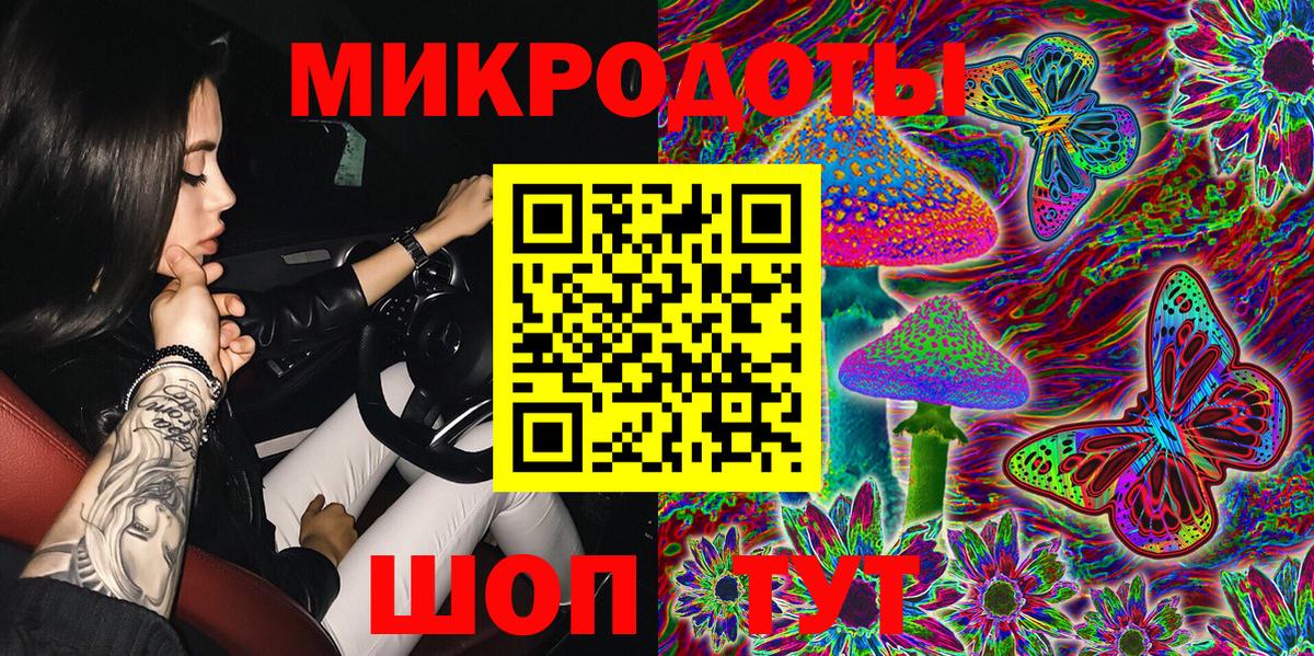 Псилоцибиновые грибы Psilocybine cubensis Ногинск