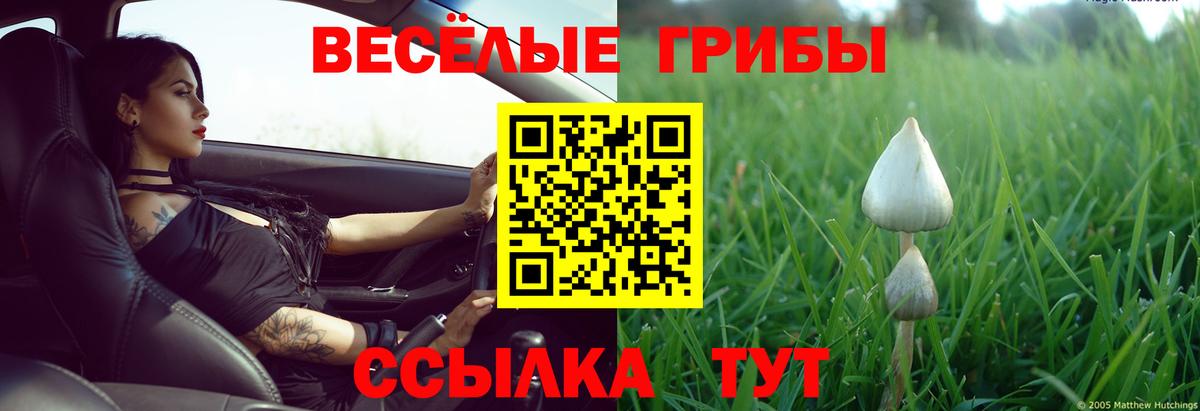 Галлюциногенные грибы прущие грибы  Псилоцибиновые грибы мицелий  Вход с VPN  Ногинск 